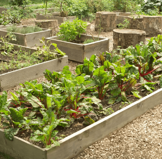Fraise & Ciboulette - jardin participatif Fraise & Ciboulette - jardin participatif