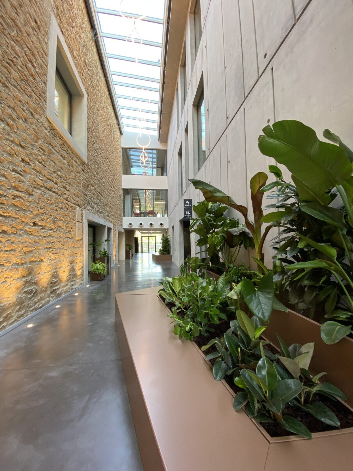 Fraise & Ciboulette - plantes d'intérieur entreprise Fraise & Ciboulette - plantes d'intérieur entreprise