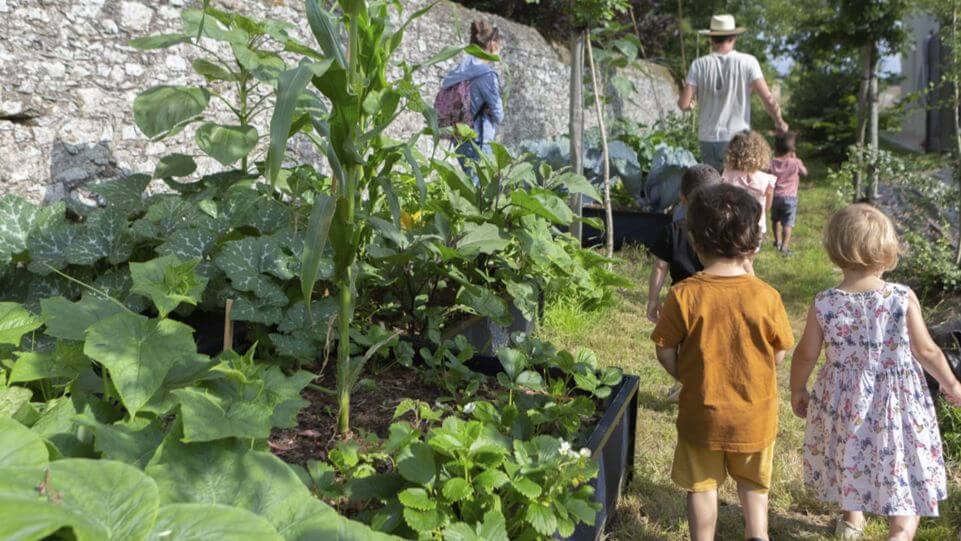 Fraise & Ciboulette - potager école Fraise & Ciboulette - potager école