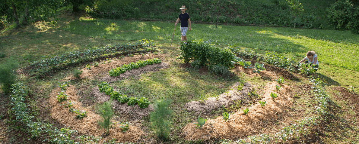 Fraise & Ciboulette - potager mandala Fraise & Ciboulette - potager mandala